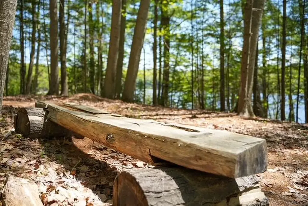 55 Lower Oak Point Road Winterport ME 04496