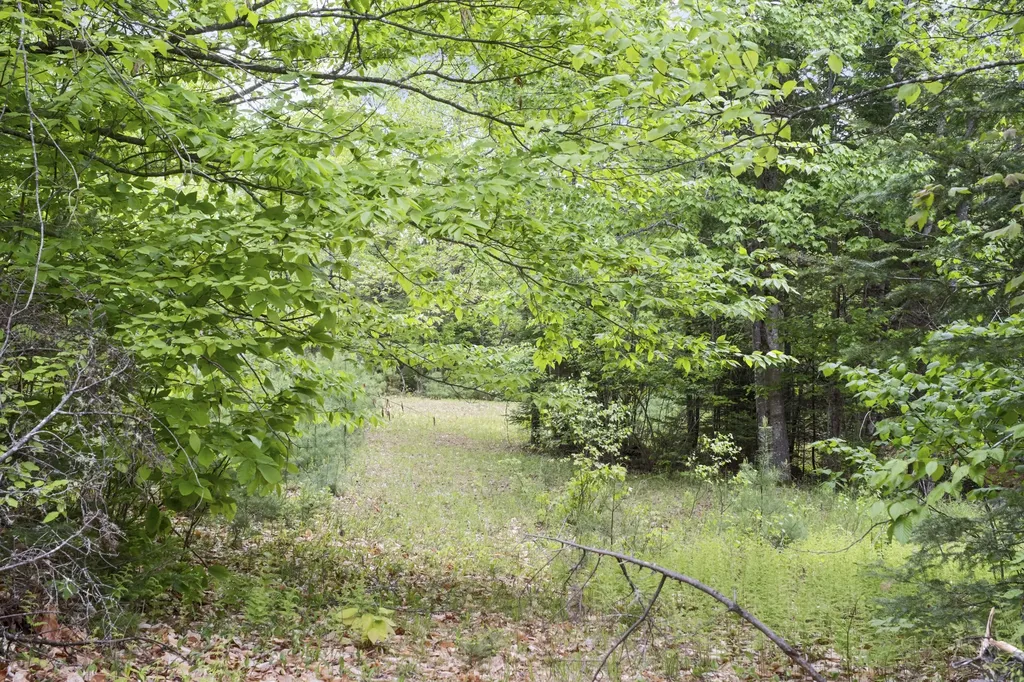 M2 L21-2 S Ridge Road Palmyra ME 04965