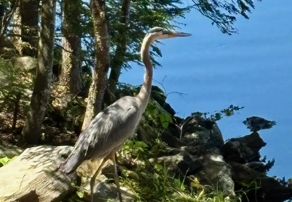 161 Small Shore Trail Oakland ME 04963