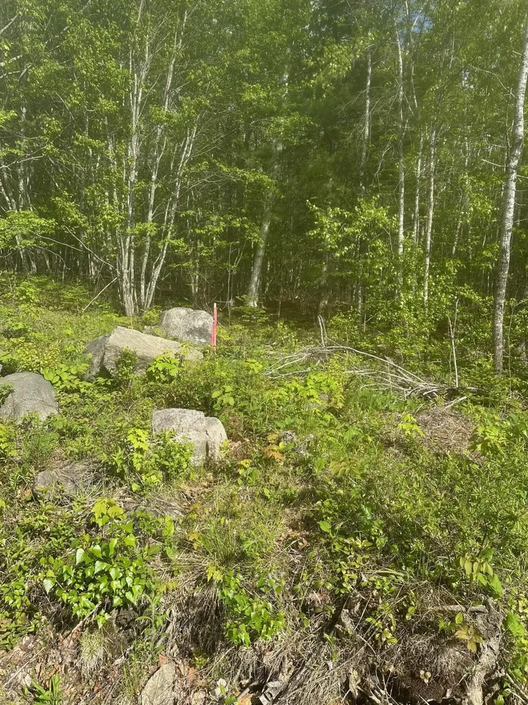 Lot 4 Unionville Road Steuben ME 04680