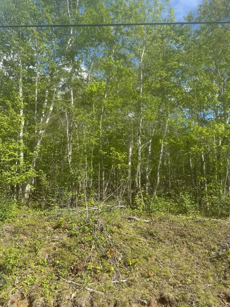Lot 4 Unionville Road Steuben ME 04680