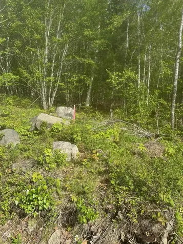 Lot 4 Unionville Road Steuben ME 04680