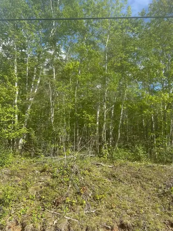 Lot 4 Unionville Road Steuben ME 04680