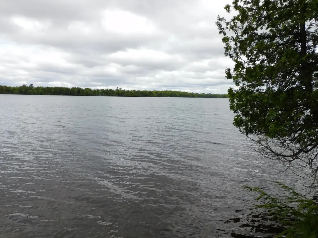 35 Black Cat Point Drive Princeton ME 04668
