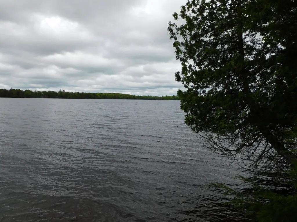 35 Black Cat Point Drive Princeton ME 04668