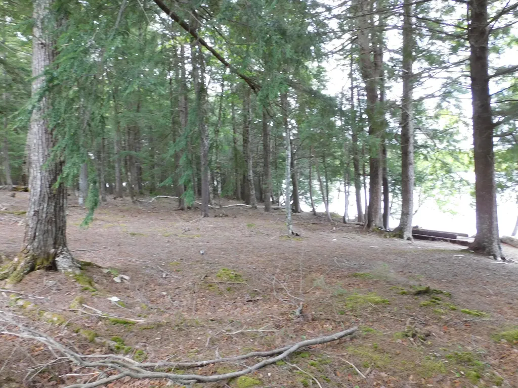 35 Black Cat Point Drive Princeton ME 04668