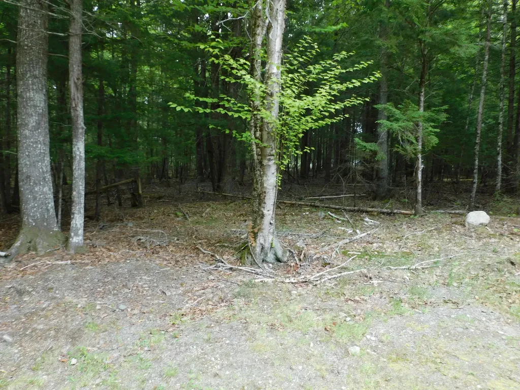 35 Black Cat Point Drive Princeton ME 04668