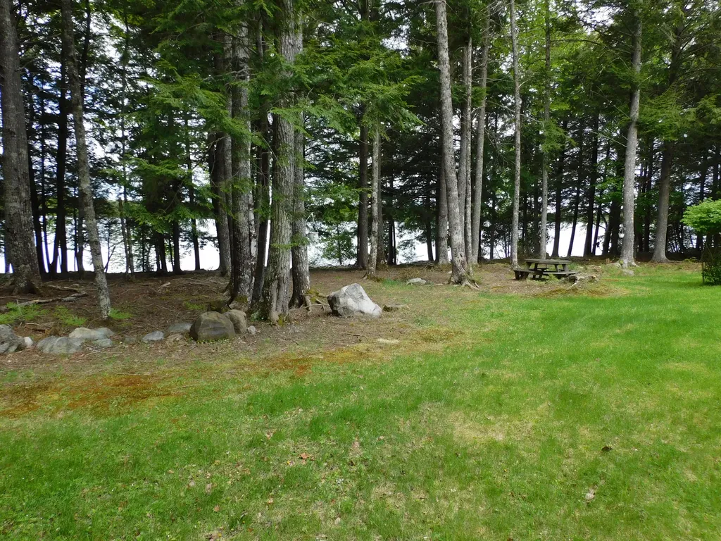 35 Black Cat Point Drive Princeton ME 04668
