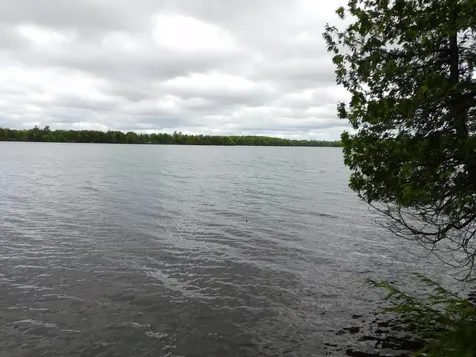 35 Black Cat Point Drive Princeton ME 04668