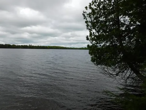 35 Black Cat Point Drive Princeton ME 04668