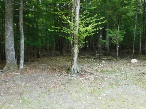 35 Black Cat Point Drive Princeton ME 04668