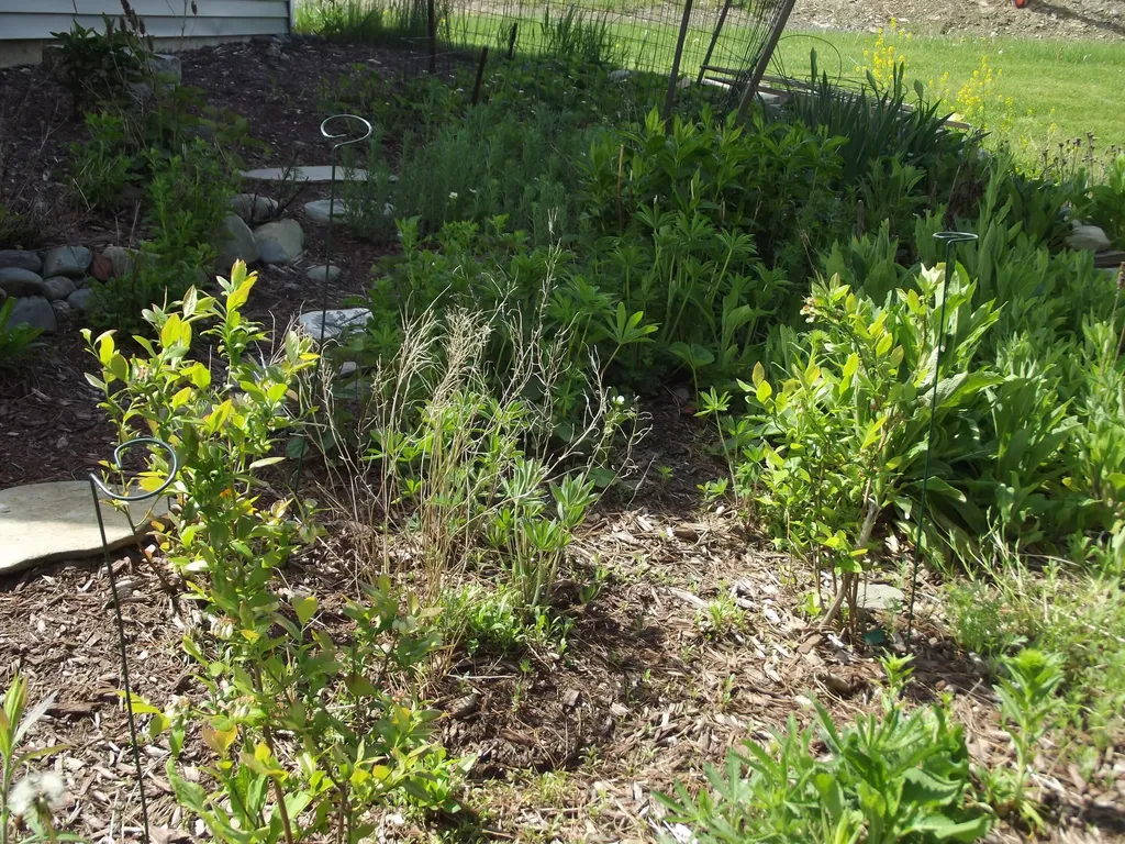 225 Skowhegan Fairfield ME 04937