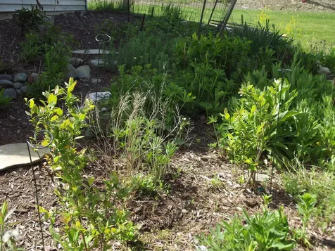 225 Skowhegan Fairfield ME 04937