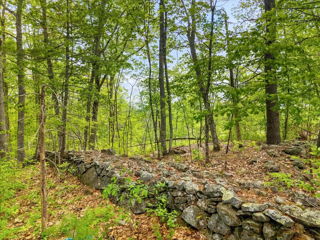 1572 River Road Bucksport ME 04416