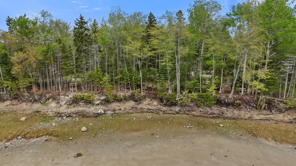 Lot 178k Rays Point Road Milbridge ME 04658