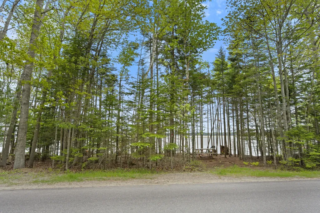 Lot 178k Rays Point Road Milbridge ME 04658