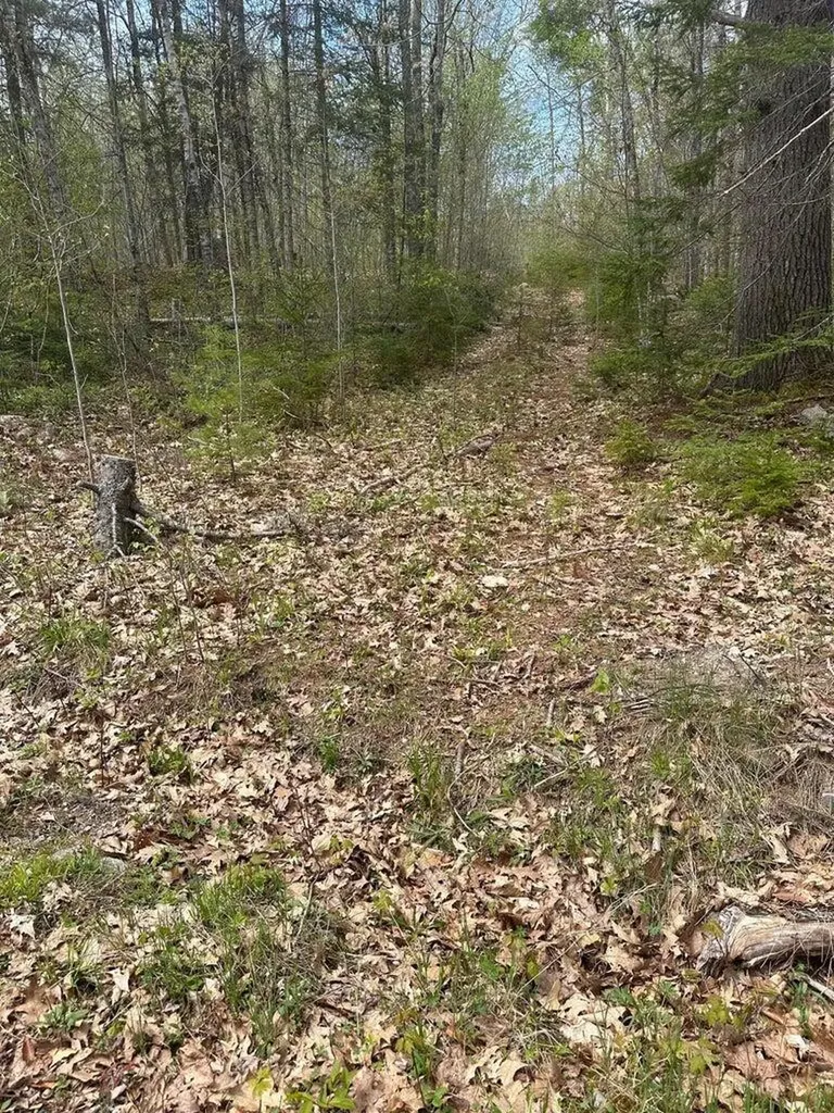 Lot 3 Morse District Road Steuben ME 04680