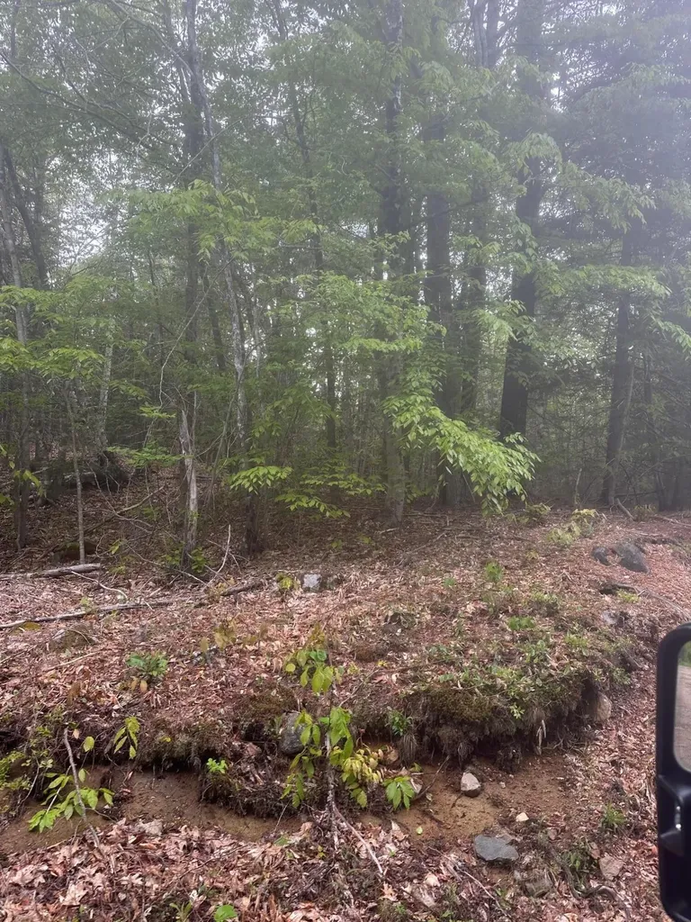 Lot 3 Morse District Road Steuben ME 04680