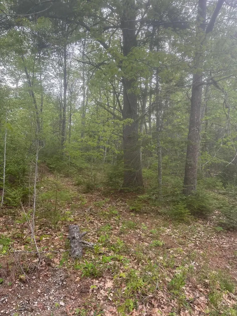 Lot 3 Morse District Road Steuben ME 04680