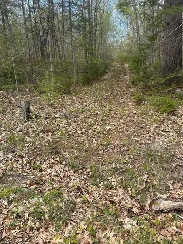 Lot 3 Morse District Road Steuben ME 04680