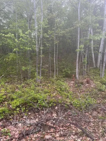 Lot 3 Morse District Road Steuben ME 04680