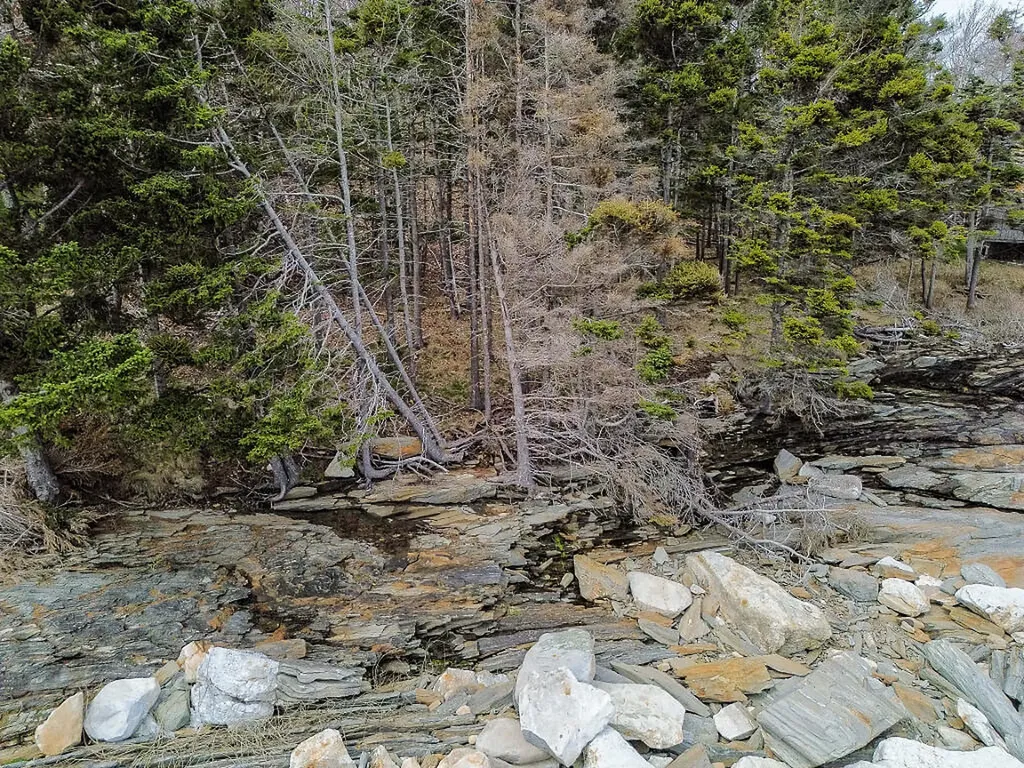 165 Mcfarland Shore Road Bristol ME 04554