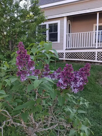 5 Penniman Road Bristol ME 04554