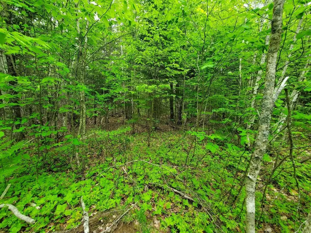 77 South Princeton Road Alexander ME 04694