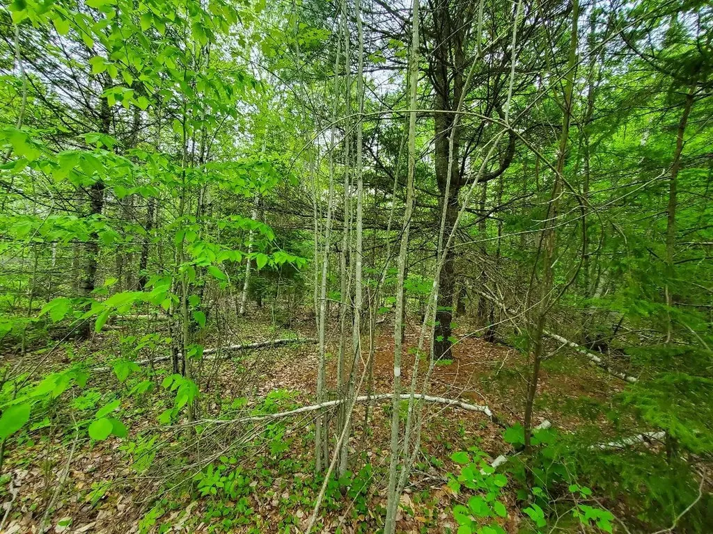 77 South Princeton Road Alexander ME 04694
