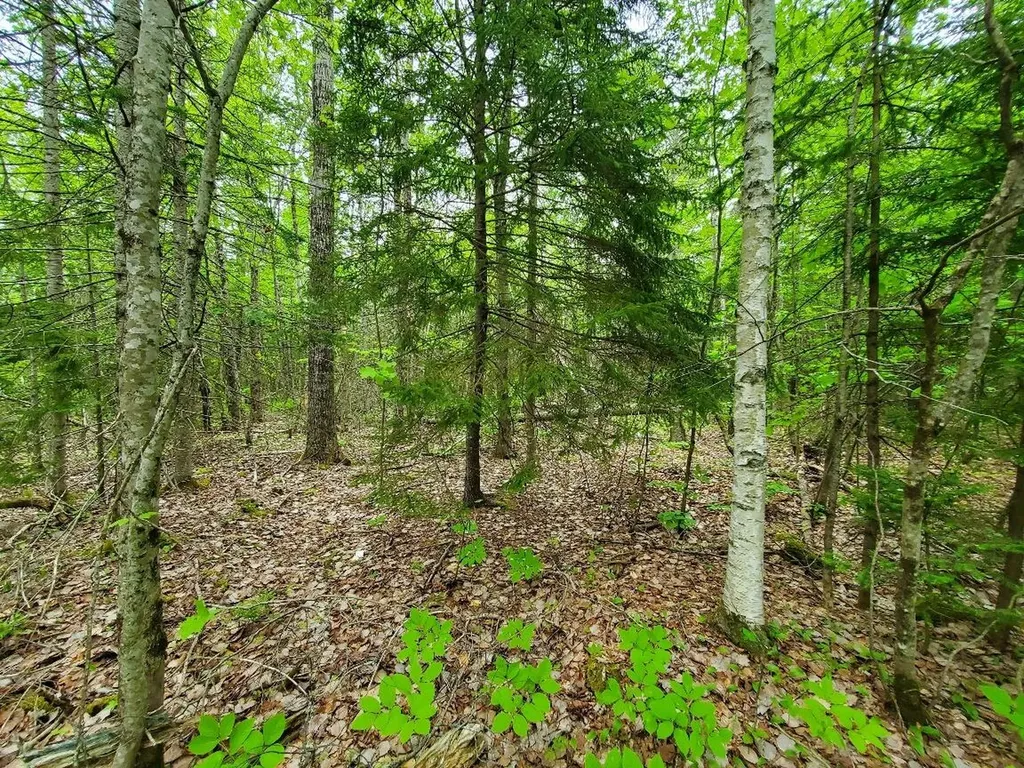 77 South Princeton Road Alexander ME 04694