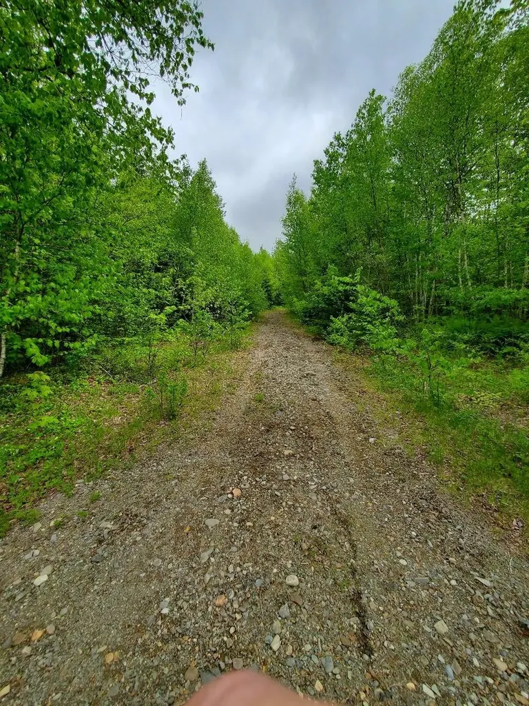 77 South Princeton Road Alexander ME 04694