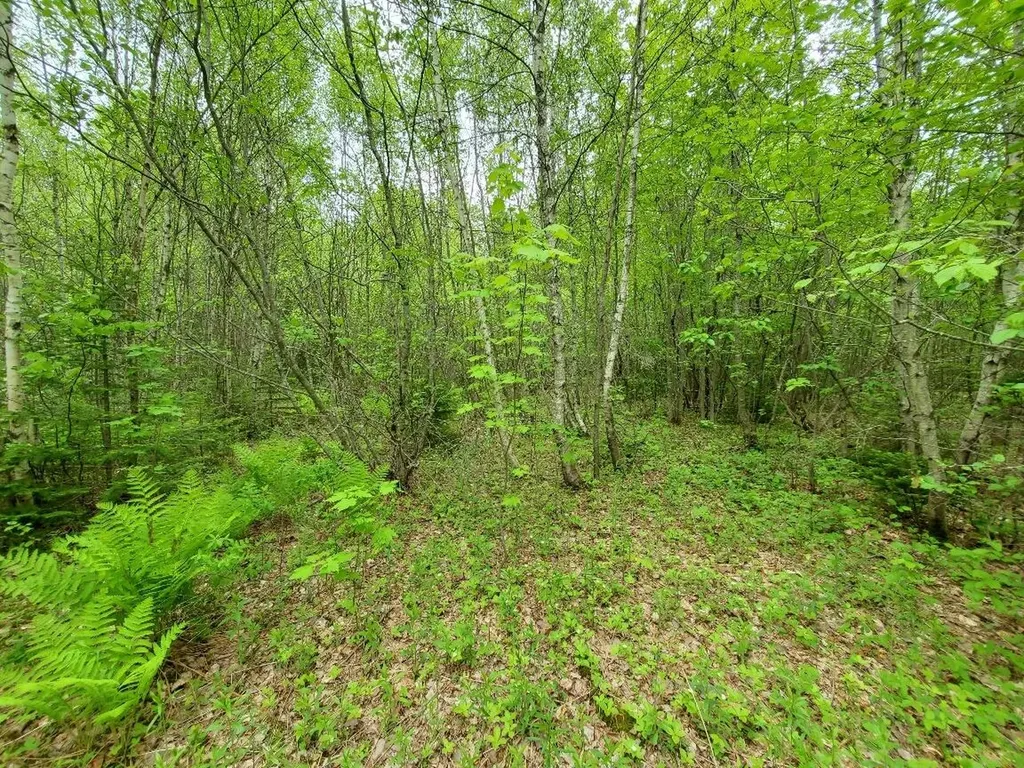 77 South Princeton Road Alexander ME 04694