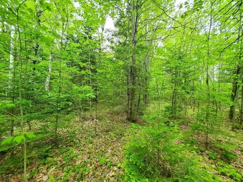 77 South Princeton Road Alexander ME 04694