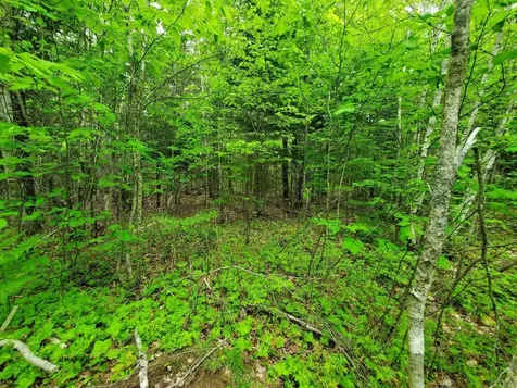 77 South Princeton Road Alexander ME 04694