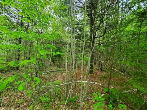 77 South Princeton Road Alexander ME 04694