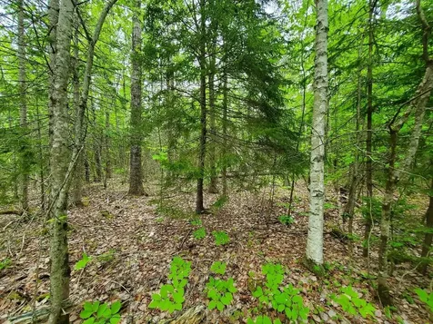 77 South Princeton Road Alexander ME 04694