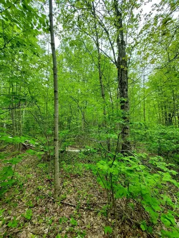 77 South Princeton Road Alexander ME 04694