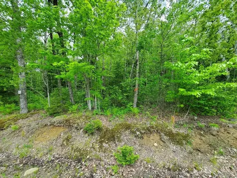 77 South Princeton Road Alexander ME 04694