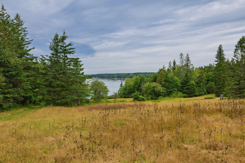163 Back Road Brooklin ME 04616