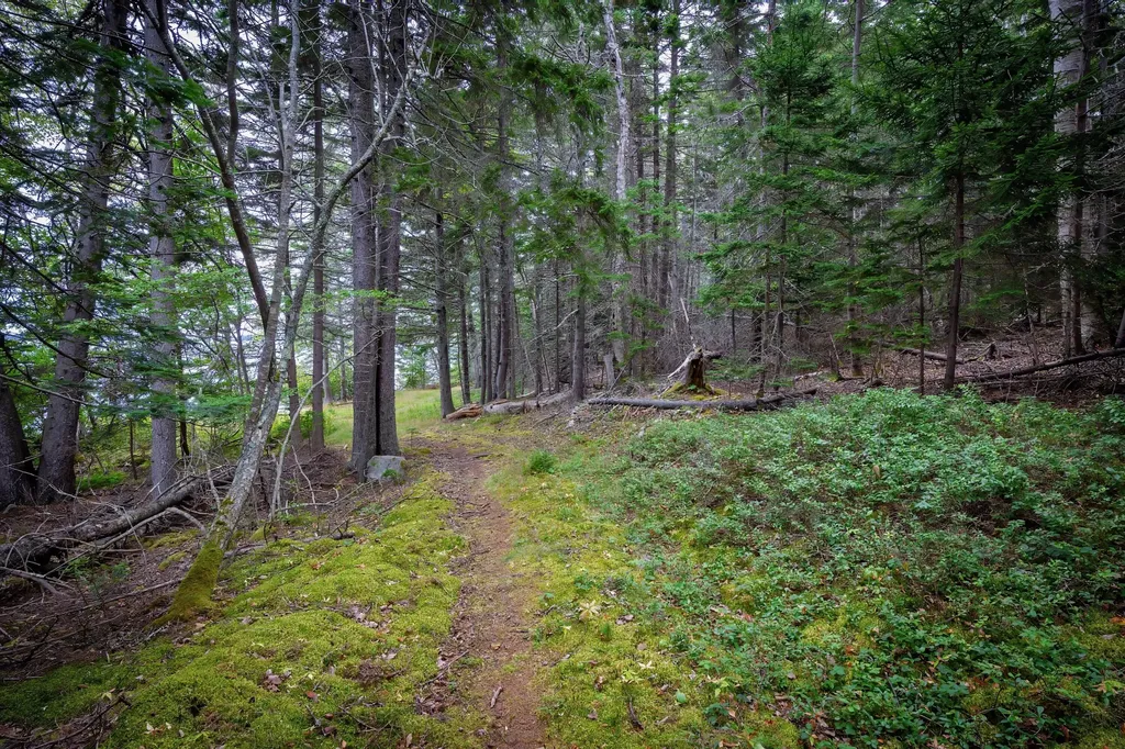 163 Back Road Brooklin ME 04616
