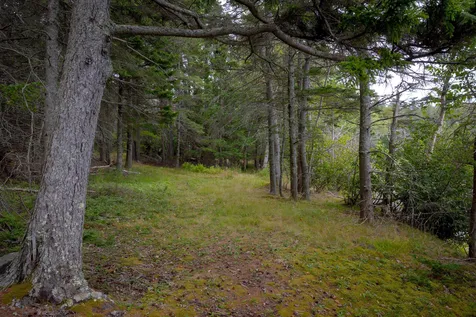 163 Back Road Brooklin ME 04616