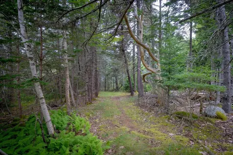 163 Back Road Brooklin ME 04616