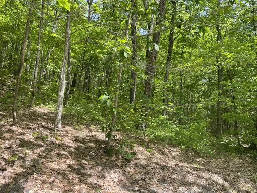 0 Edes Falls Road Harrison ME 04040