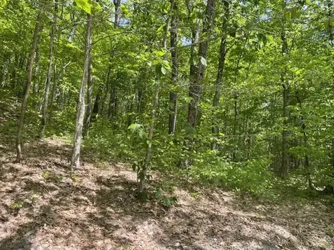 0 Edes Falls Road Harrison ME 04040