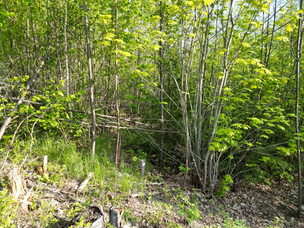 Lot 41-1 Bottle Lake Road Lakeville ME 04487