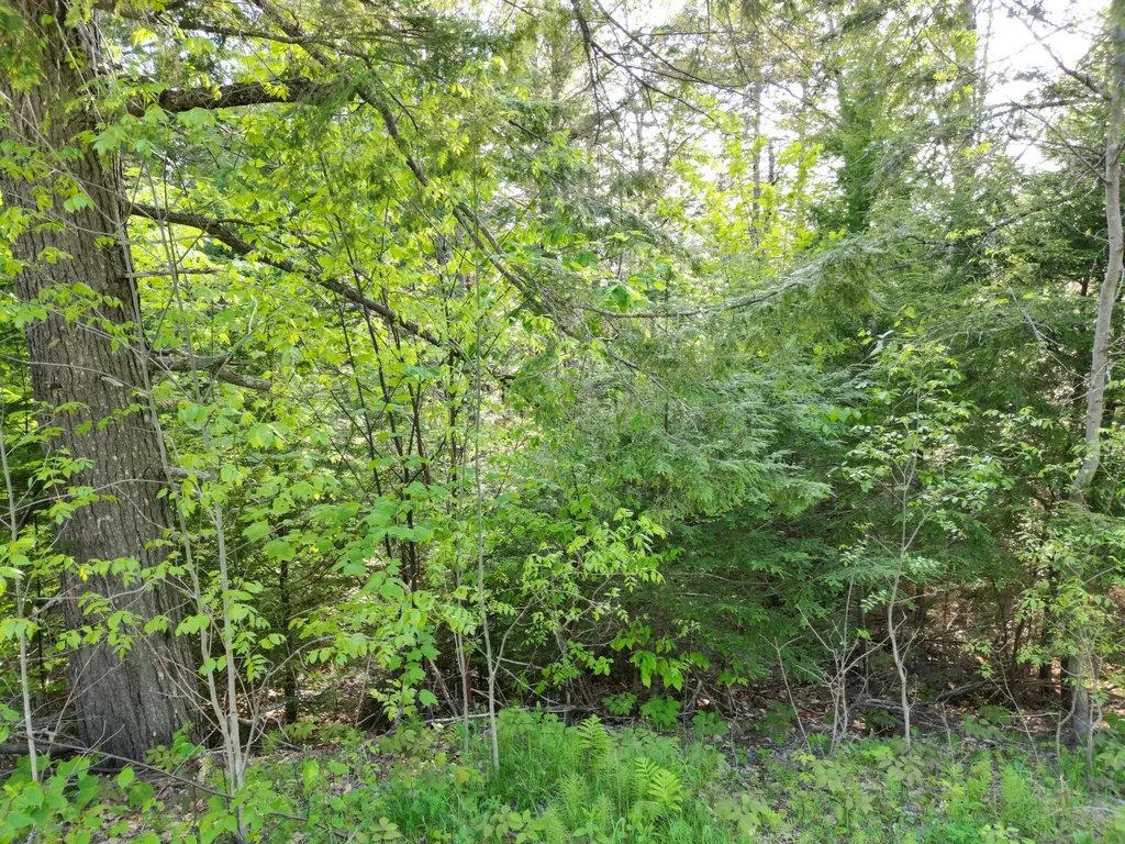 Lot 41-1 Bottle Lake Road Lakeville ME 04487