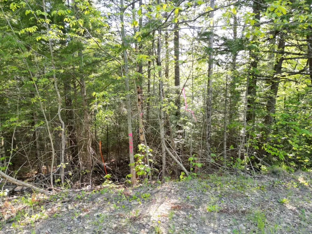 Lot 41-1 Bottle Lake Road Lakeville ME 04487