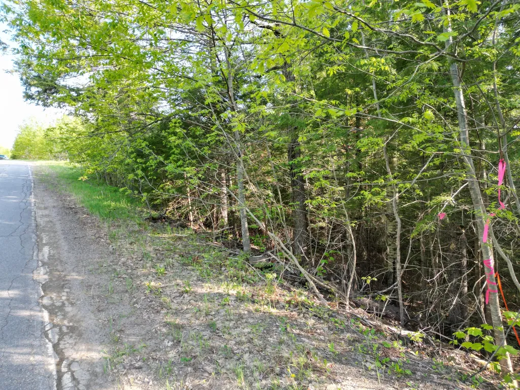 Lot 41-1 Bottle Lake Road Lakeville ME 04487