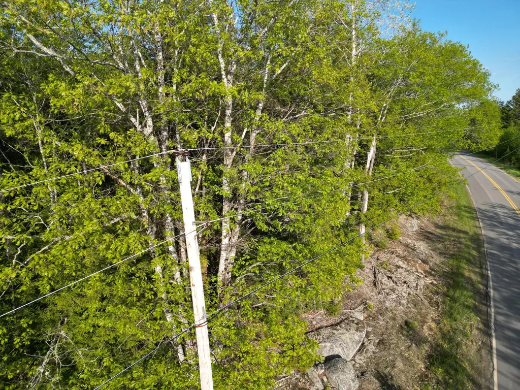 Lot 41-1 Bottle Lake Road Lakeville ME 04487