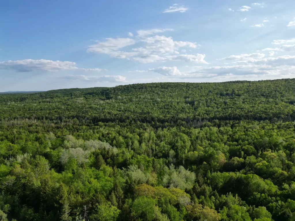 Lot 41-1 Bottle Lake Road Lakeville ME 04487